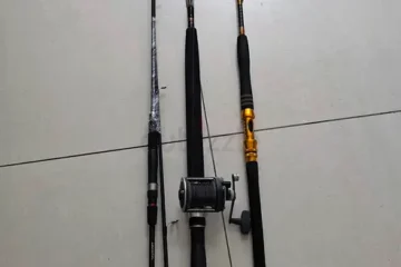 Fishing rod