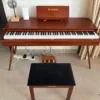 Donner Digital Piano with Bench – Retro Wood Finish, Excellent Condition